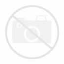 RENAULT PREMIUM 460 T ADR (75/GVI) RENAULT PREMIUM 460 T ADR (75/GVI)